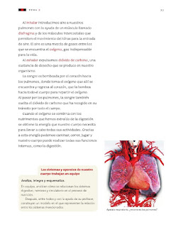 Apoyo Primaria Ciencias Naturales 3er grado Bloque I Tema 2 La alimentación como parte de la nutrición 