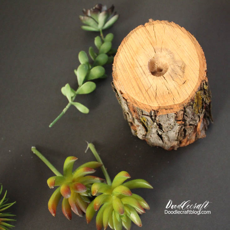 Doodlecraft Succulent Log Planter!