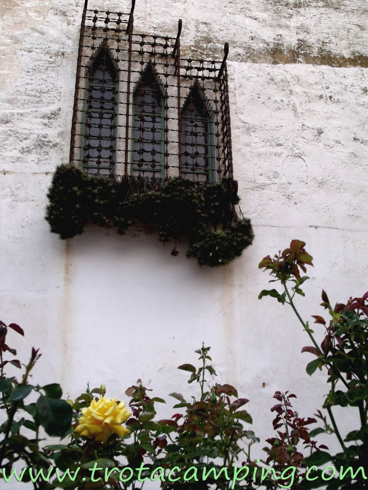 Trotacamping Fira del càntir d'Argentona.