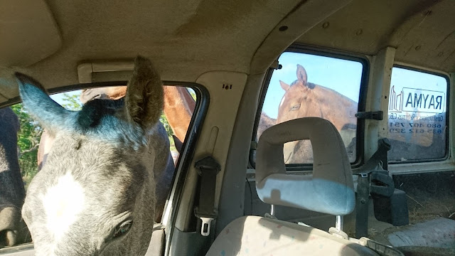 wwoof voluntouring