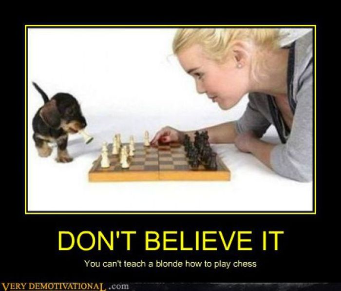 Funny Demotivational Posters Part 44 ~ Damn Cool Pictures