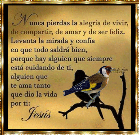FRASES Y GIFS: Nunca pierdas la alegria