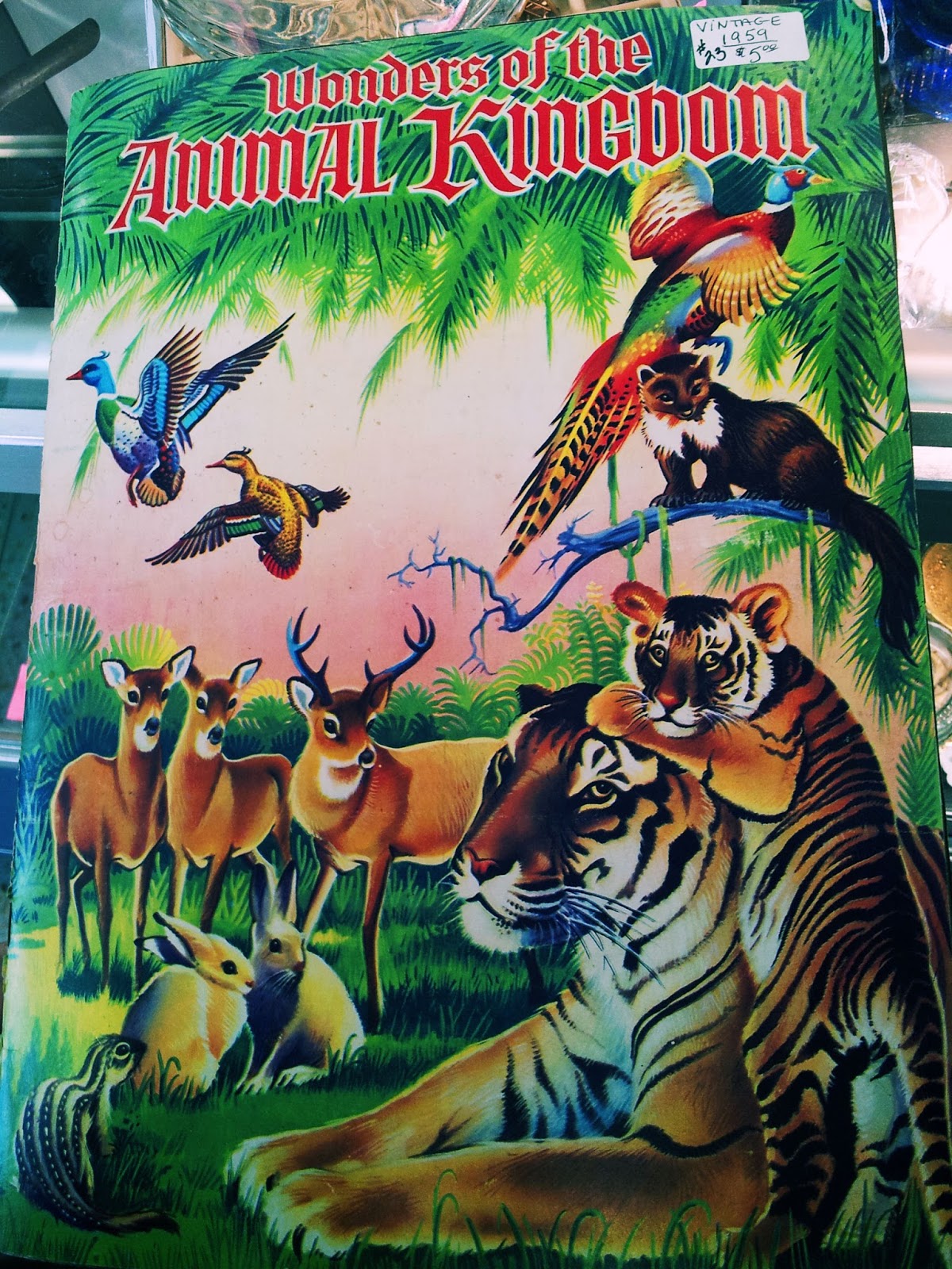 The Collected Coatimundi: Wonders of the Animal Kingdom - Or how to eat