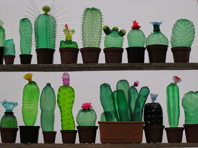 Cactos feitos com garrafas plásticas PET Cactos feitos com garrafas plásticas PET