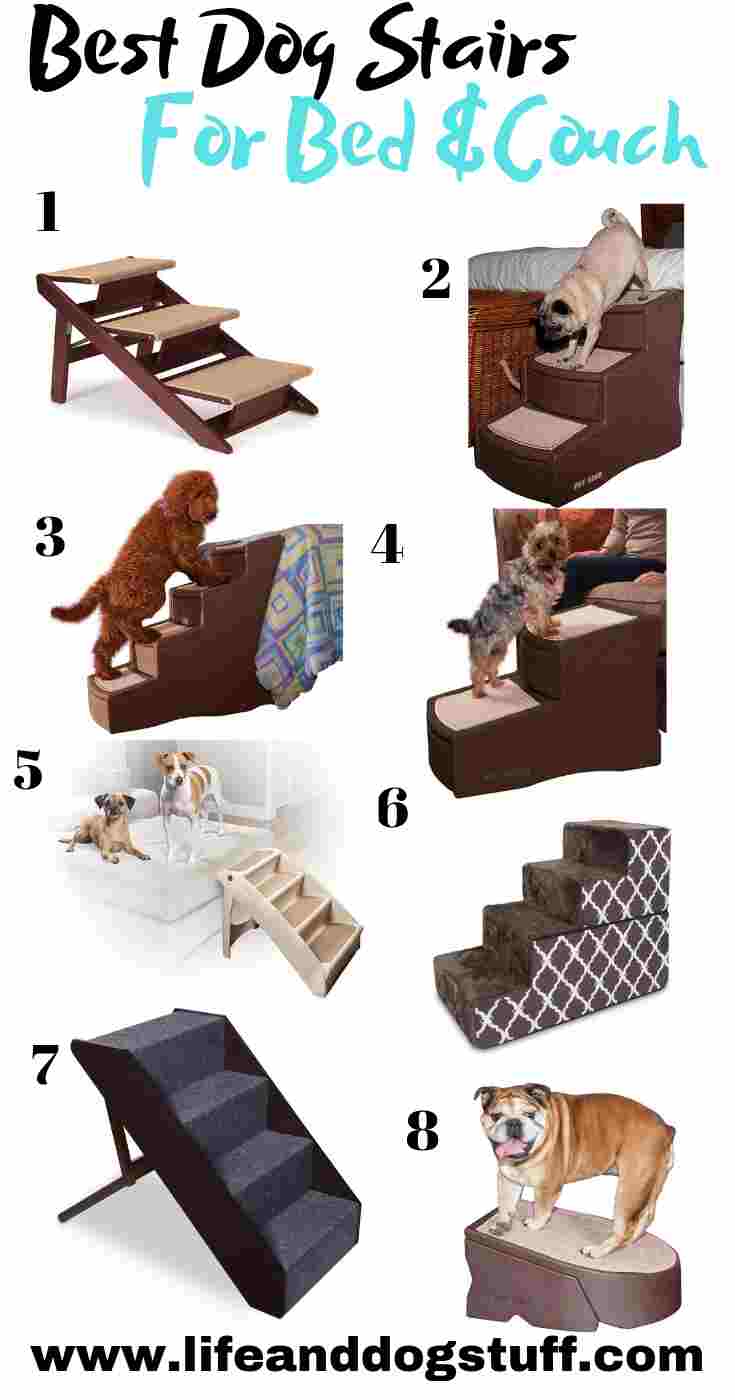 8 Best Dog Steps And Stairs For Bed 8 Best Dog Steps And Stairs For Bed