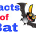 चमगादड़ से जुड़े कुछ ऱोचक तथ्य | Facts about Bat