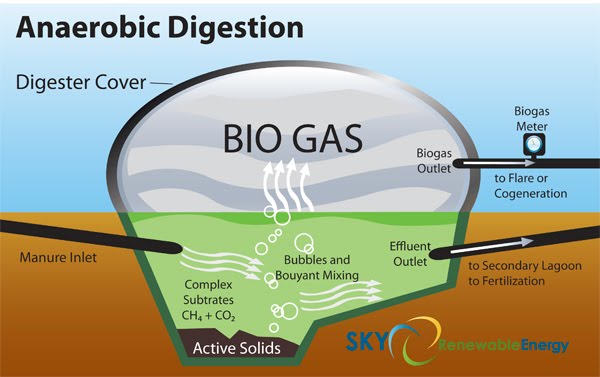 el biogas
