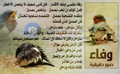 sowar mo3abira sowar mo3abira