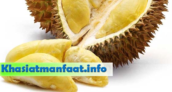 Khasiat dan Manfaat Buah Durian Khasiat dan Manfaat Buah Durian