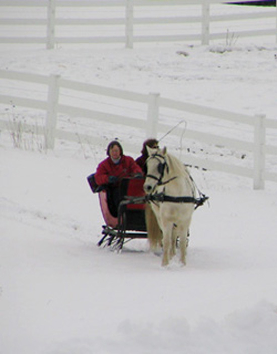 The Quiet Life Christmas Carols What does that mean? 1 Bells on