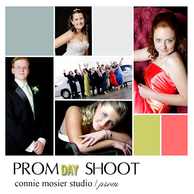 Connie Mosier Studio - Photo Blog: Prom Shoot {Roseville}