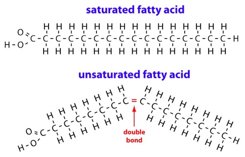 Perfect Scorer Test Prep: Chemistry: What Does the Word 'Saturated' Mean?