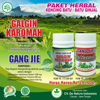 obat kencing batu,obat batu ginjal,cara menghilangkan kencing batu,obat penghancur batu ginjal