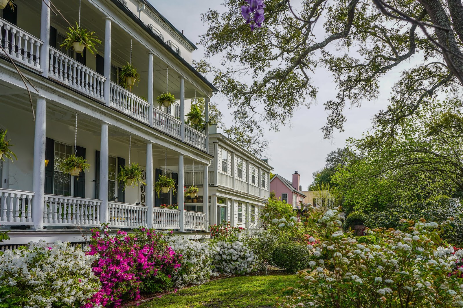 Charleston Daily Photo The garden of Charleston