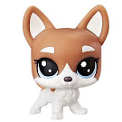 Littlest Pet Shop Series 2 Multi Pack Bree Lahuahua (#2-94) Pet