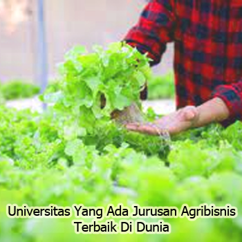 

<p><strong>Menjelajahi Peluang Emas: Universitas Terbaik dengan Jurusan Agribisnis dan Prospek Karier Cemerlang</strong></p>
<p>” title=”</p>
<p><strong>Menjelajahi Peluang Emas: Universitas Terbaik dengan Jurusan Agribisnis dan Prospek Karier Cemerlang</strong></p>
<p>“></p>
	</div><!-- .entry-content -->

	<footer class=