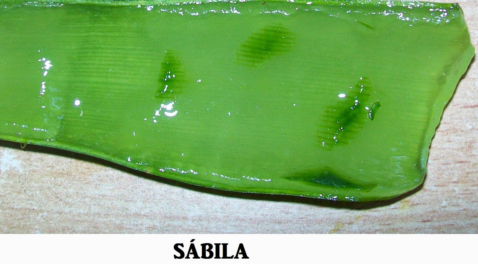 Como-curar-hemorroides-o-almorranas-con-sábila