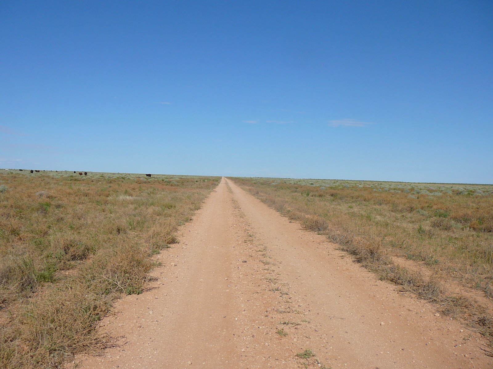 Andrew and Nikki around Oz The Plenty/ Donohue Highway all 750 kms