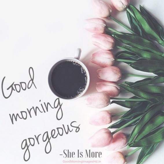 111 Best Coffee Good Morning Images in 2019 good morning coffee images with coffee