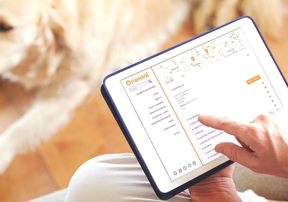 Oriental Financial Group Oriental Bank Pr