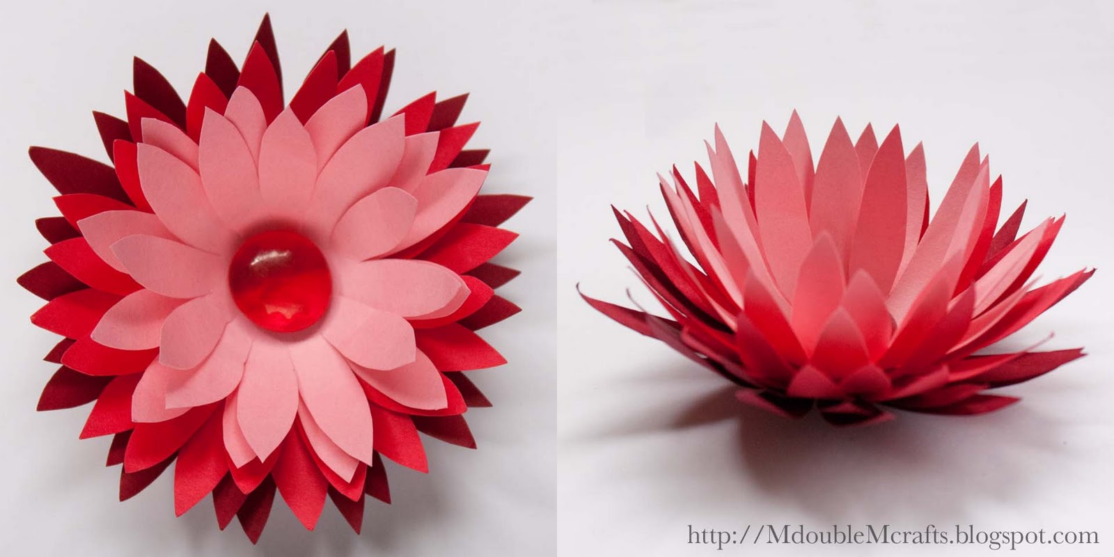 M double M Ombre water lily paper flower (tutorial).