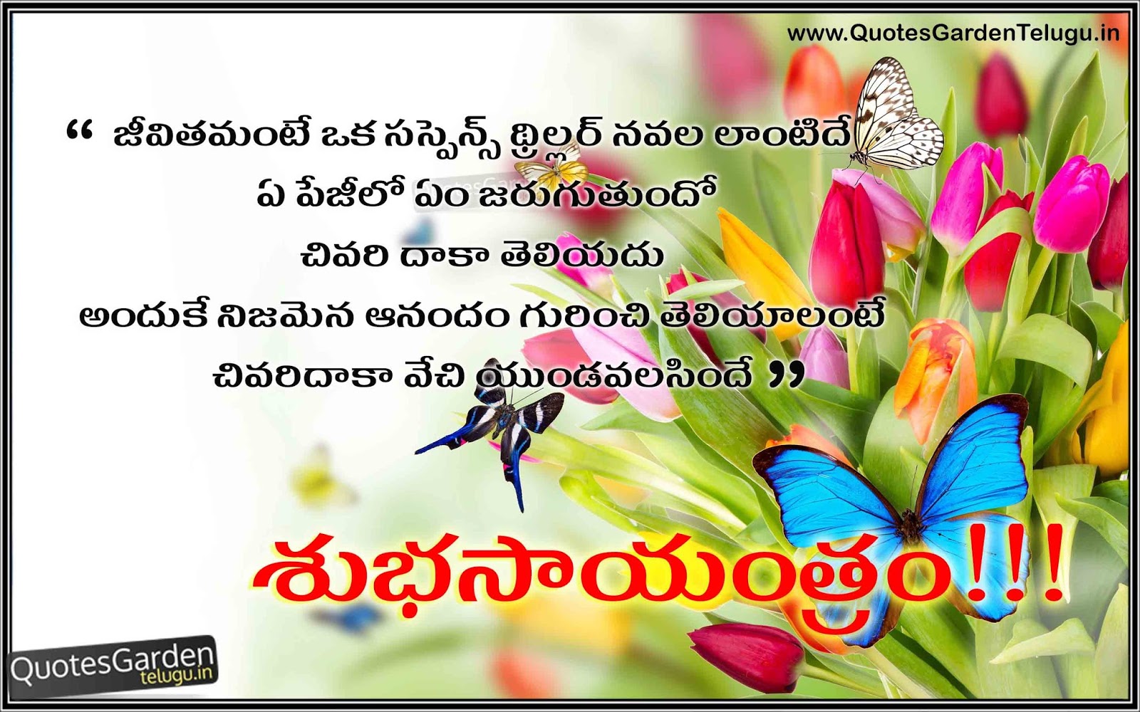 Best Thoughts n telugu Good evening quotes for friends | QUOTES ...