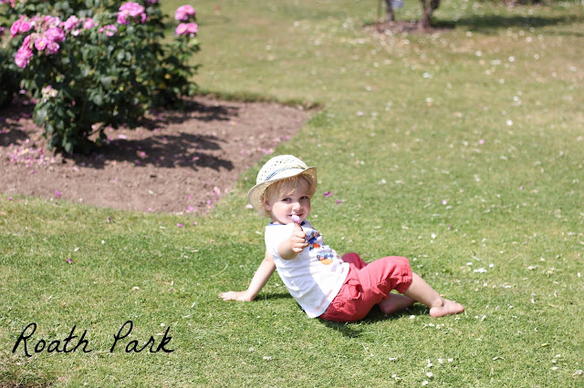 picking daisys 