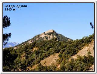 Siguenos en Facebook