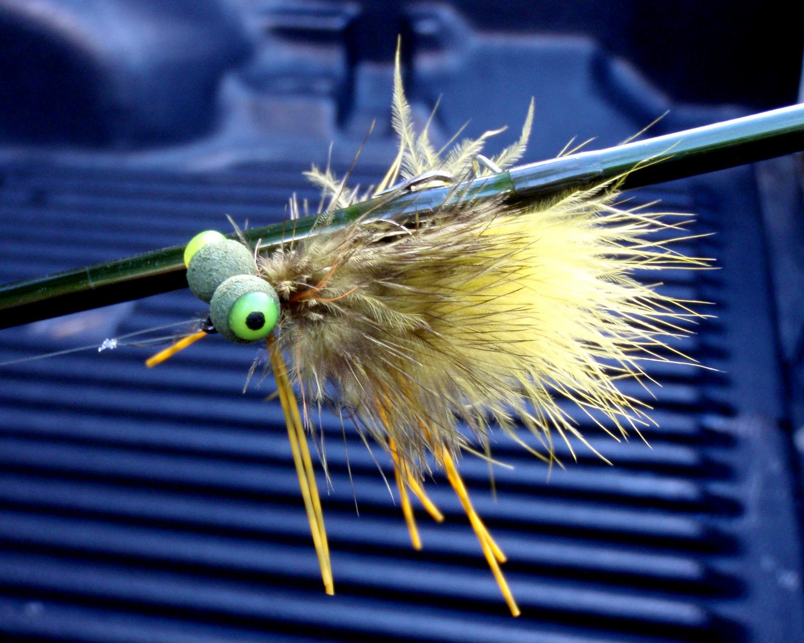 Colorado Fly Fishing Reports Saturday Tying Demo In Longmont!