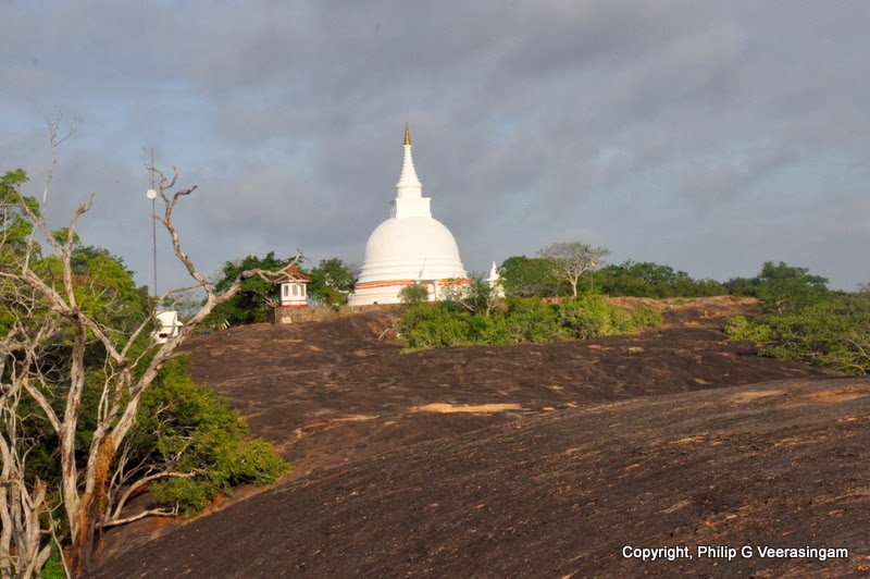 philipveerasingam: 'Sacred Bo Tree', 'Chaithya' and the 'Budhu Medhura ...