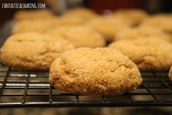Pumpkin Molasses Cookies // These chewy cookies are everything spice and nice and you won't be able to stop at one! #recipe #pumpkin #molasses #cookies #dessert #SundaySupper