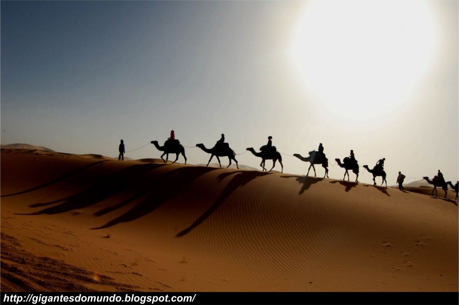 Qual o maior deserto do mundo e onde se localiza O Maior Deserto Quente Do Mundo Gigantes Do Mundo