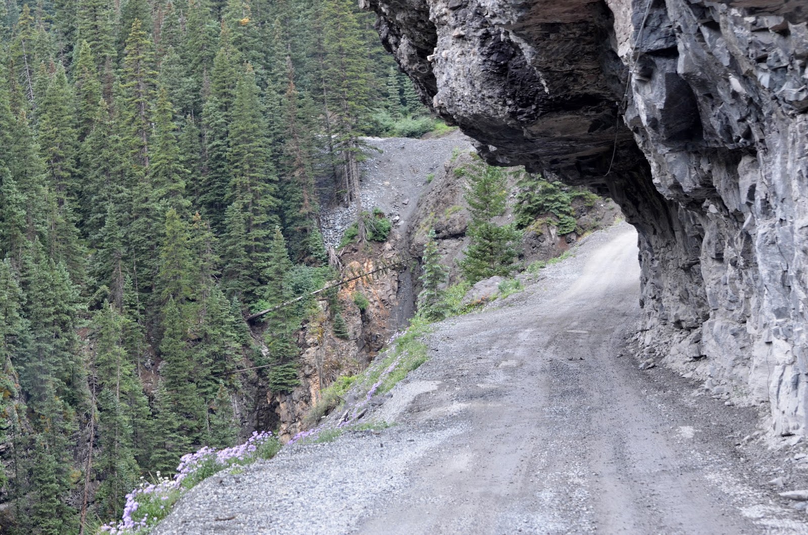 goodtimesrollin Yankee Boy Basin