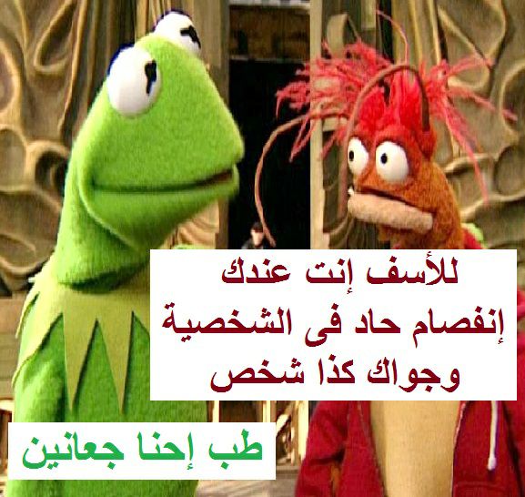 اجمل الصور المضحكة فى العالم