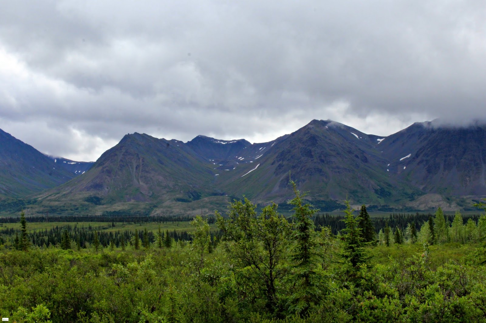 The Drive to Cantwell in the Denali State Park // Alaska Caravan