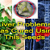 Man With Liver Problems Was Cured Using The Seeds Of This Popular Leafy Vegetable.