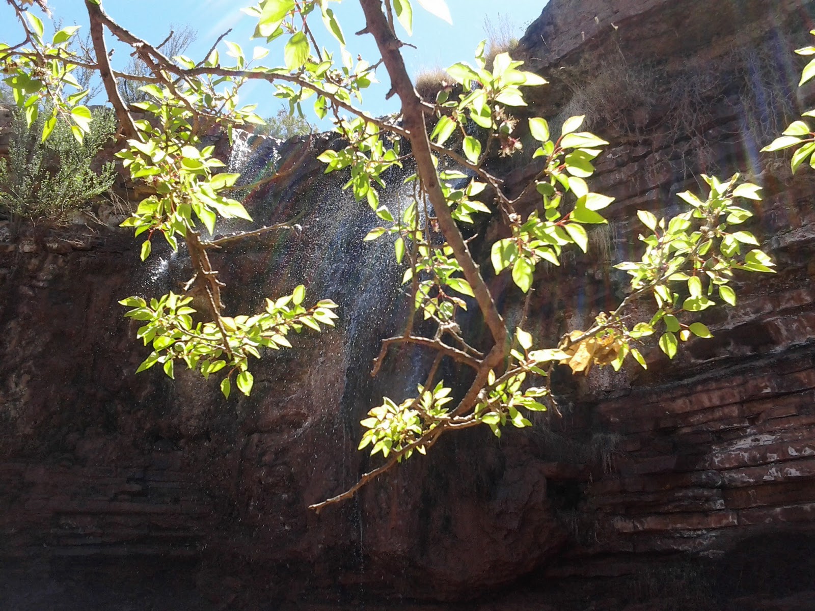 Southern New Mexico Explorer Bridal Veil Falls Trail (FT129)Lincoln
