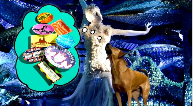 Salty Dog And Cool Cat Grooming Salty Dog And Cool Cat Grooming