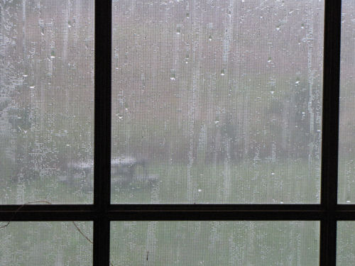 rain through window