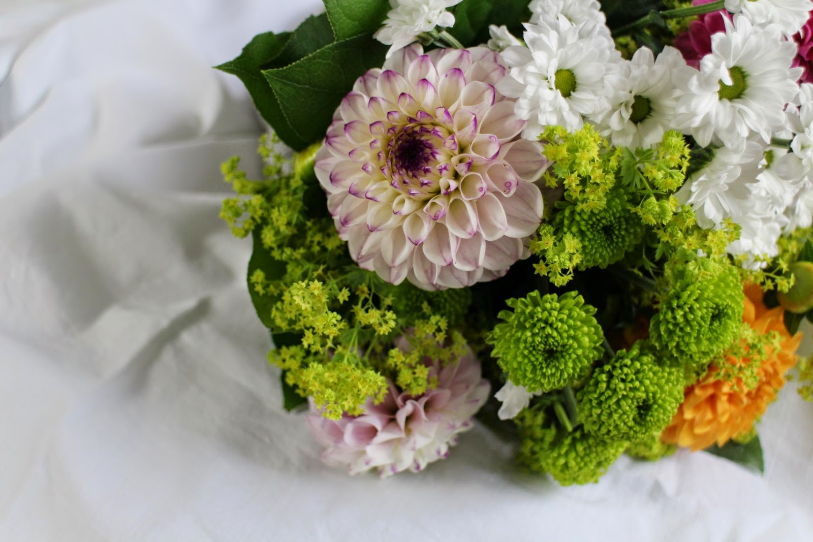 Pdf Ausgabe Bergischer Bote