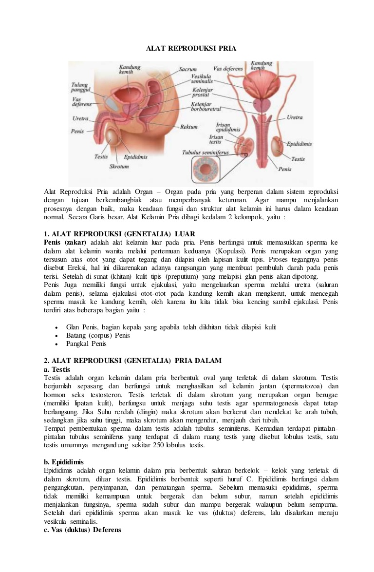 penyakit pada sistem reproduksi - wood scribd indo
