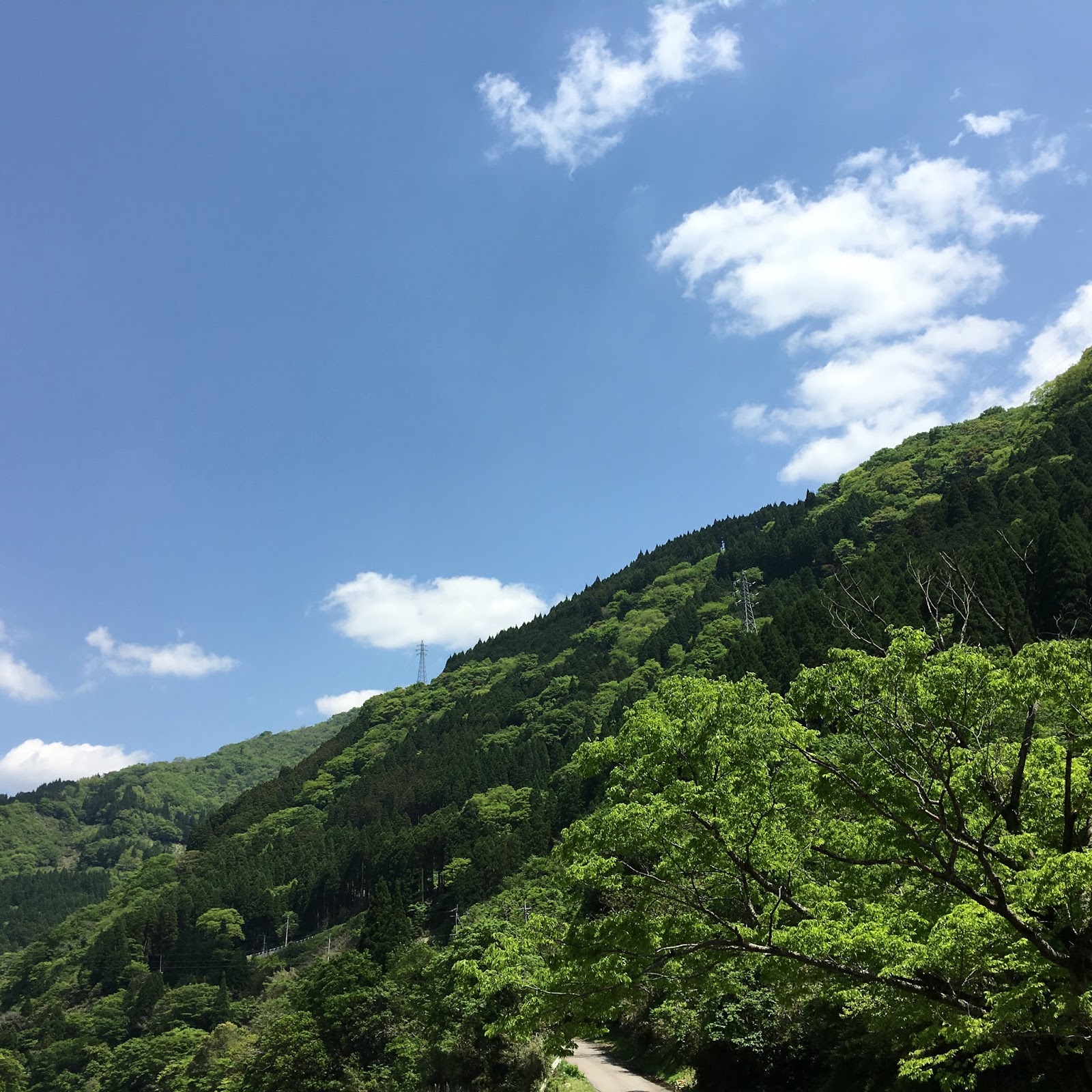 五木村観光協会 事務局Blog GWの五木村 良い香りに包まれて パート2