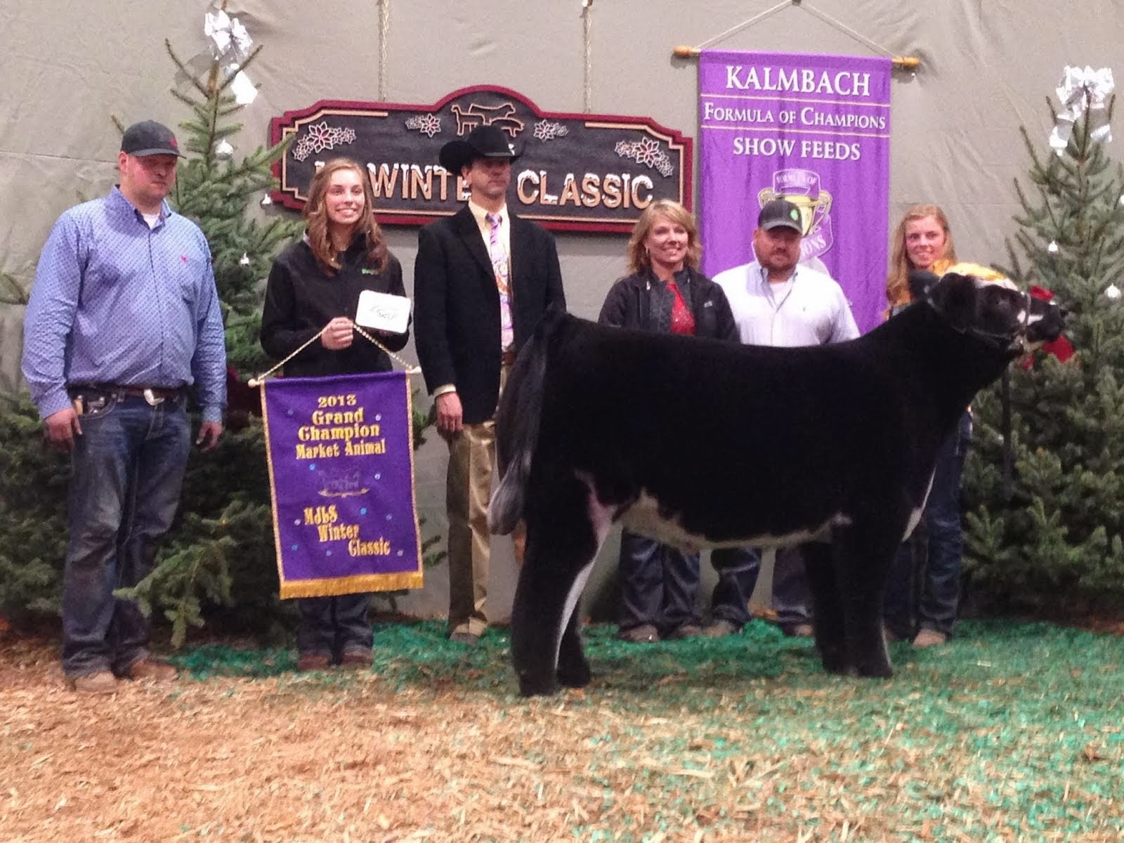 RCC Blog Grand Champion Michigan Winter Beef Classic sired by MAB