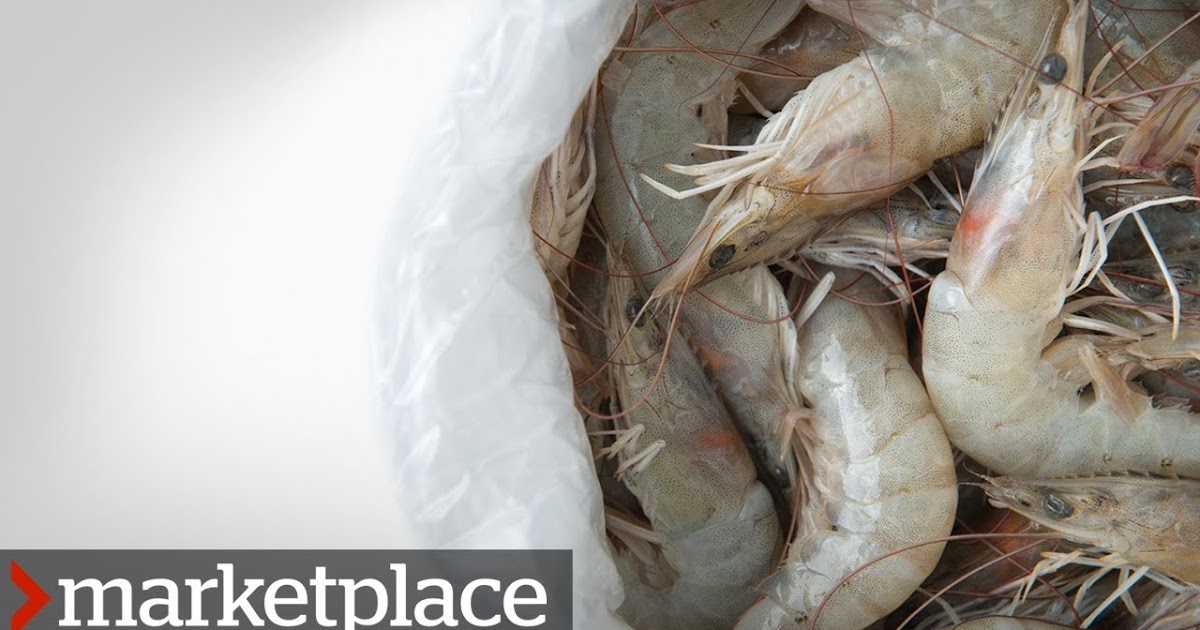 The Site for Healthcare Professionals Testing shrimp for antibiotic