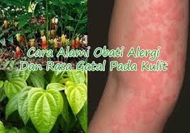 Cara Ampuh Mengobati gatal jamur Menggunakan Bahan Alami