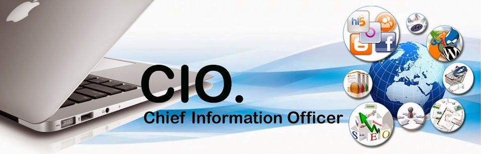 CIO (chief information officer)