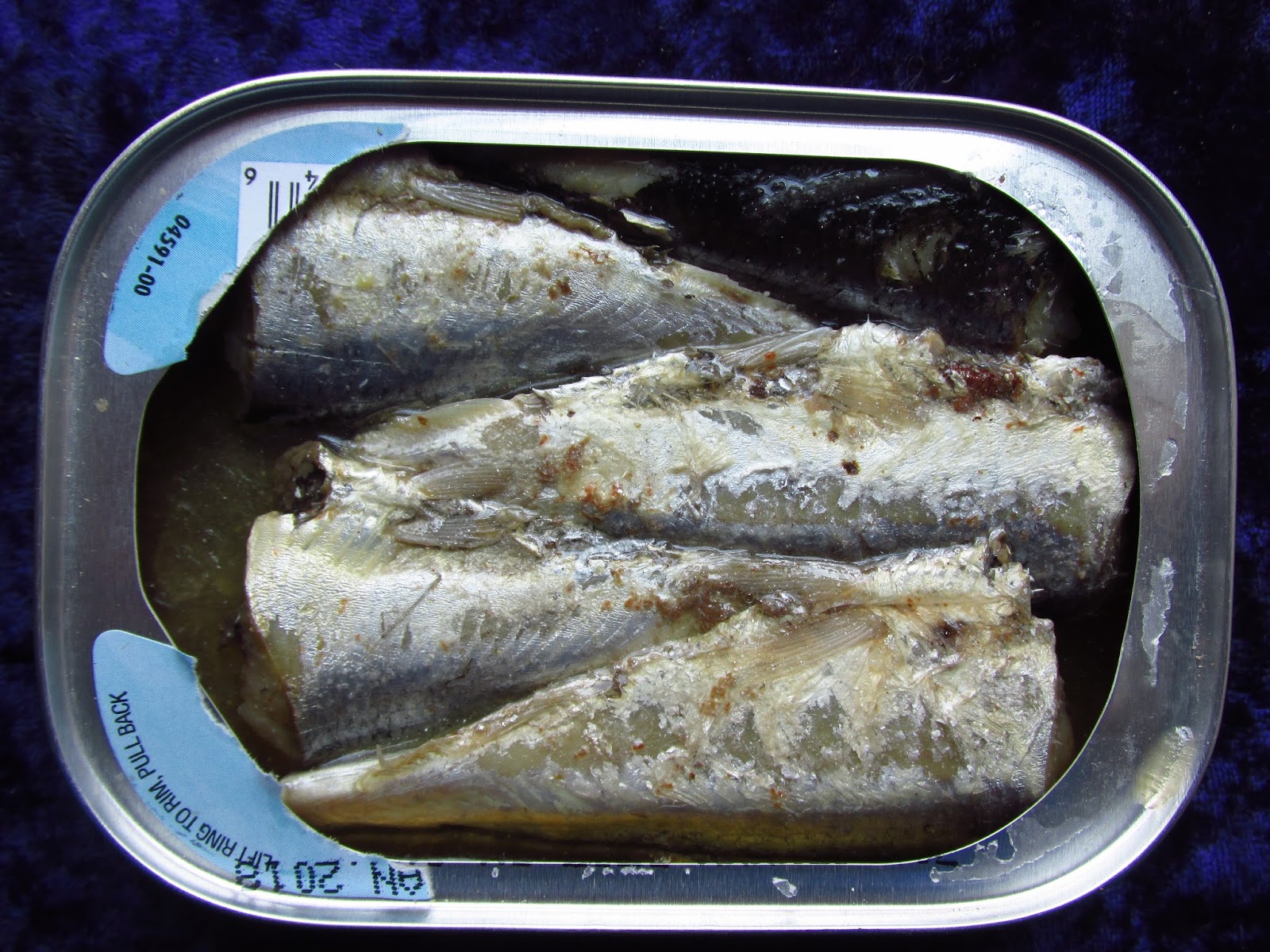 Sardine Container and Why You Need It Sardine Fish Indonesia, Sardine