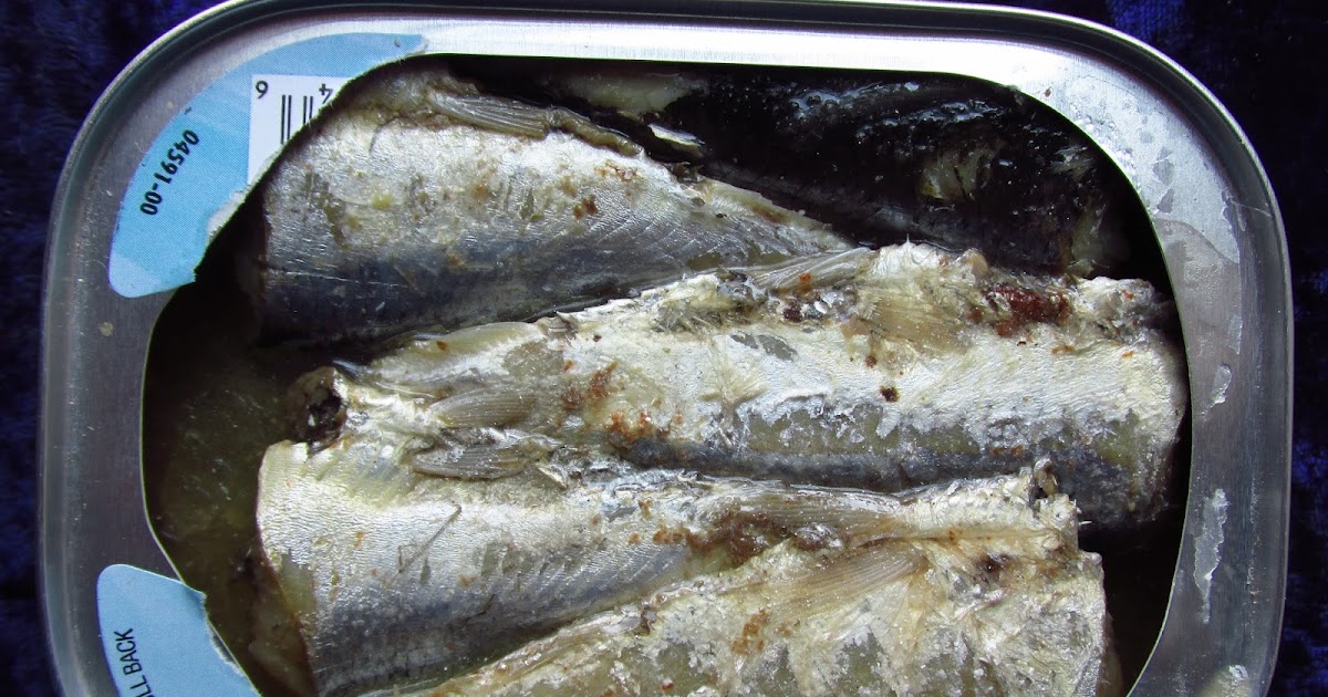 Sardine Container and Why You Need It Sardine Fish Indonesia, Sardine