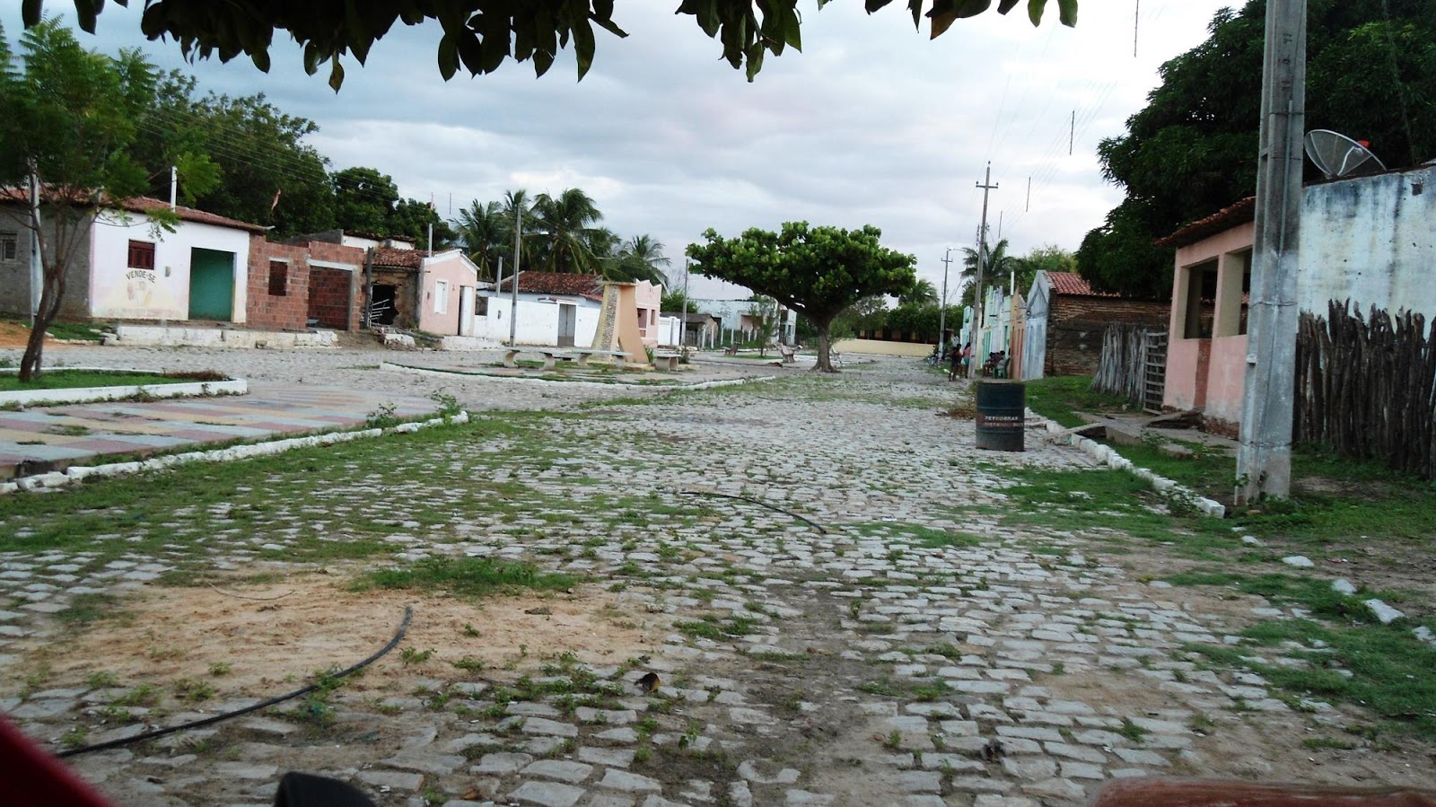 # Toni Martins - Todo mundo lê!: Carnaubais hoje: Centro-Carnaubal-Rio