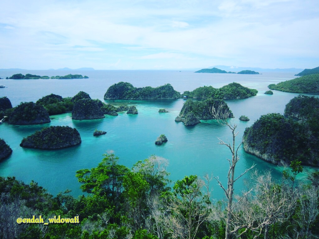 BENTANG ALAM KARST DOWNLOAD BENTANG ALAM KARST DOWNLOAD